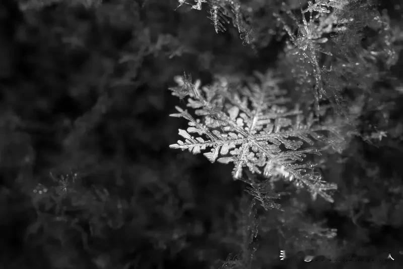 今年冬天的不同