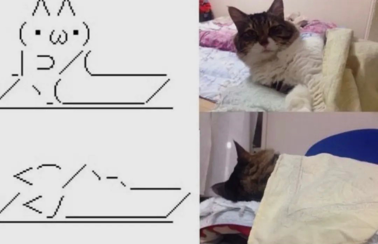 周四了，再熬熬！ ​​​
