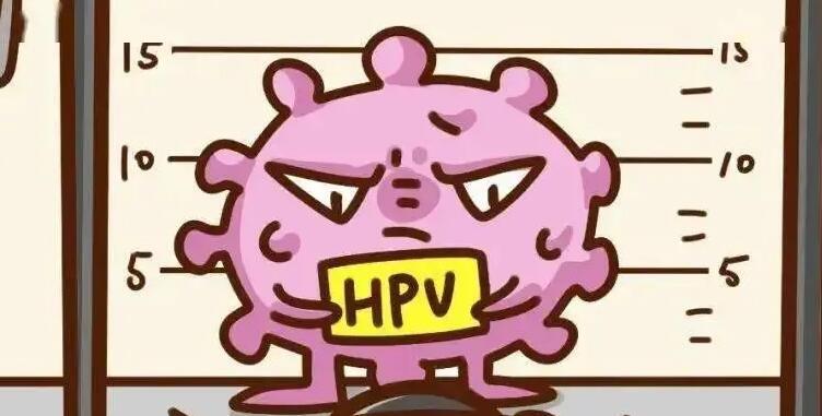 #健康真探社#【感染HPV，会影响怀孕吗？】人乳头瘤病毒（HPV）是一种脱氧核糖