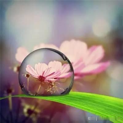 一个有能量有气场的人，必须具备三种能力。
第一、自律
认真管理好时间，每天有效率