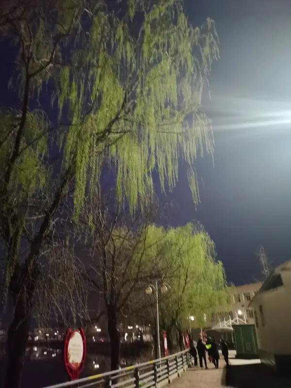 馨漪婉风所作的《七绝•春夜感怀》韵味十足。“故苑梨开夜漫长”，春夜之中，故苑里梨