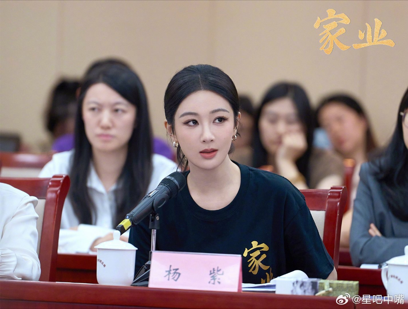 杨紫家业助力徽墨走向世界杨紫在《家业》座谈会上发言本嘴给满分：《生命树》和《家业