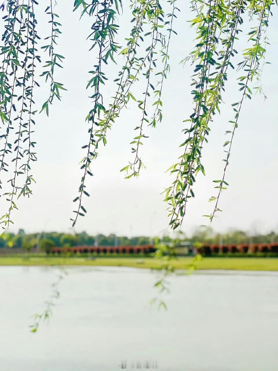 雨水探秘自然今天， 2月18日，丙午马年正月初二，新春的喜庆氛围正浓，我们迎来二