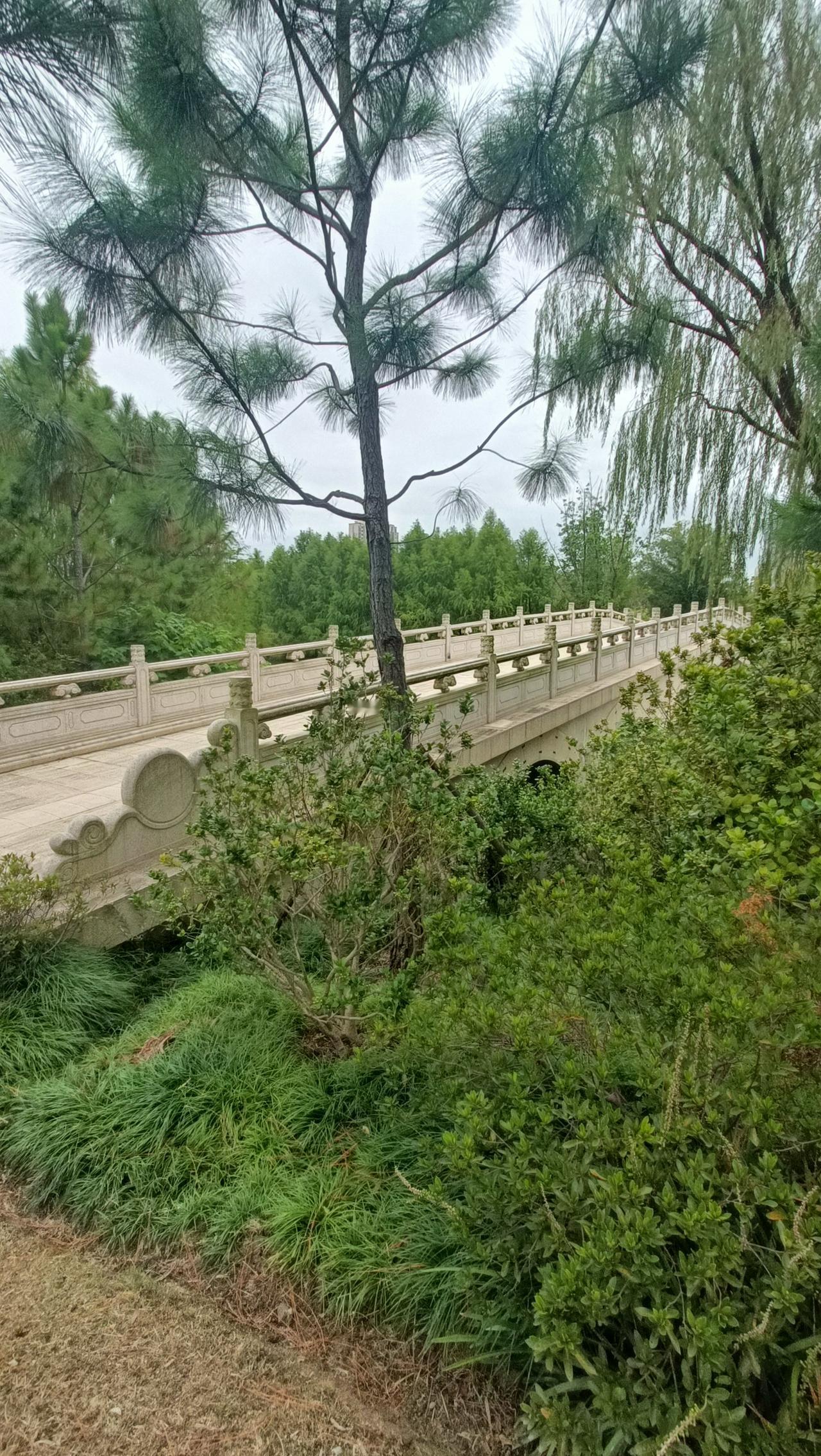 绿树成荫的小桥，风景真美！
上联:樟阴覆桥水含烟，
下联:风牵柳丝扫鱼肩。