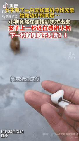 近日，辽宁沈阳，一女子的无线耳机不小心掉到路边，寻找无果后，没想到的是，她给路边