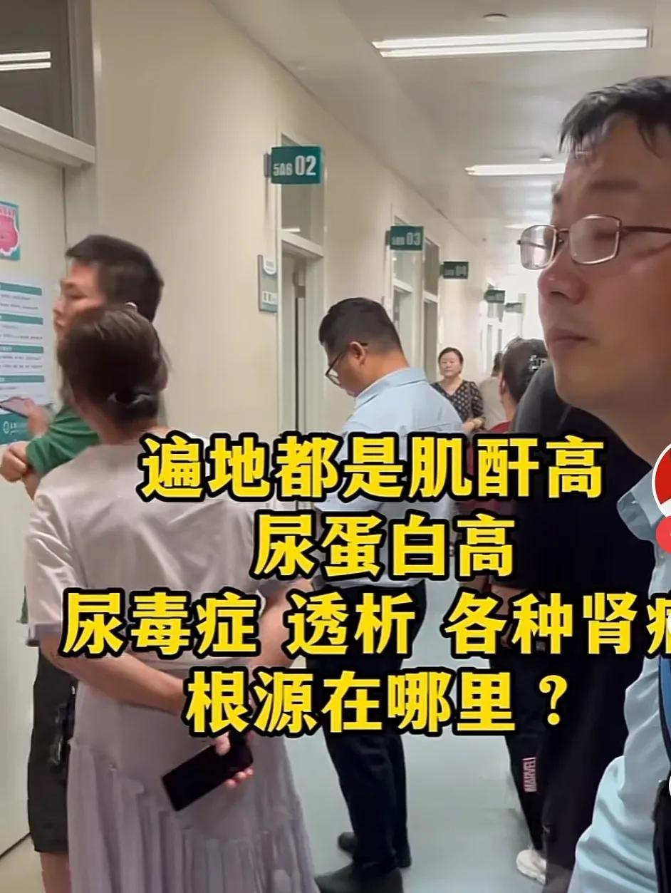 肾病高发的主要原因是，第一，感染，扁桃体发炎，肠道感染，第二，熬夜，第三，乱用药