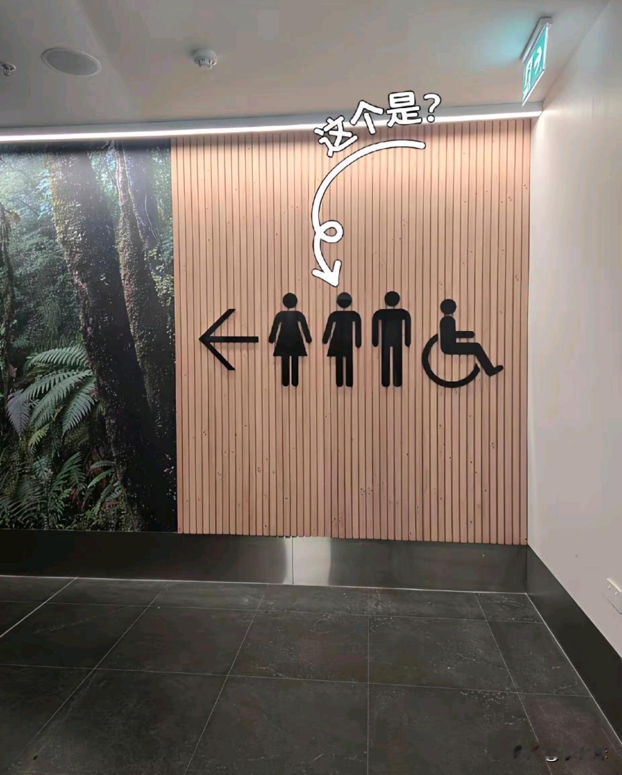 这个图标代表的是啥？