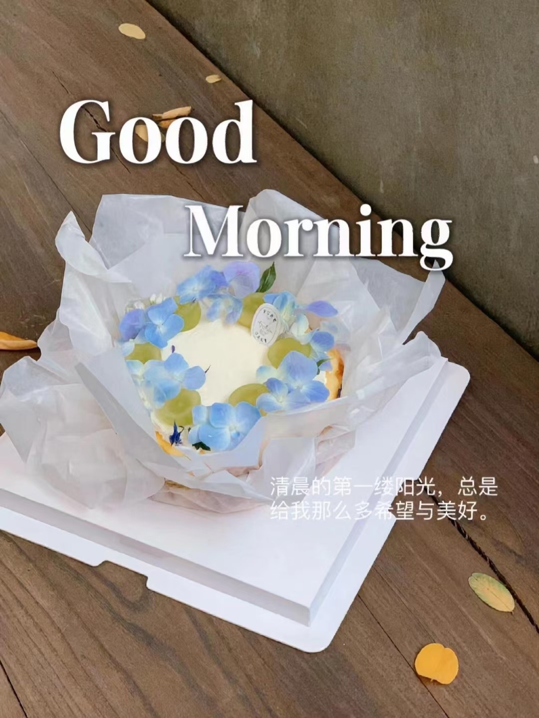 good мorиιиg🌻⋆请及时更新自己来匹配蕞美好的今天 ​​​