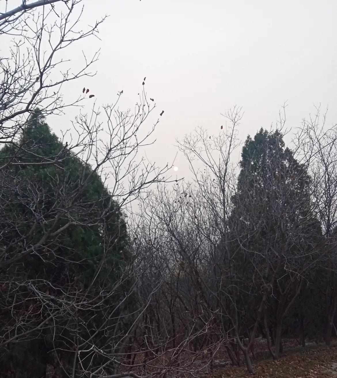 今天早晨济南这霾可太夸张了，直接到严重标准，连太阳光线都被遮住，天空一片灰蒙蒙。