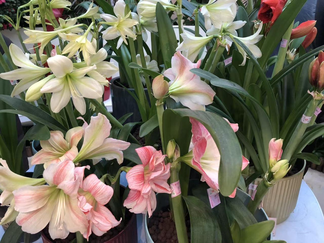 记录我的2026 2026年真是丰富多彩。1月13日，我正奋战在313历史学中，