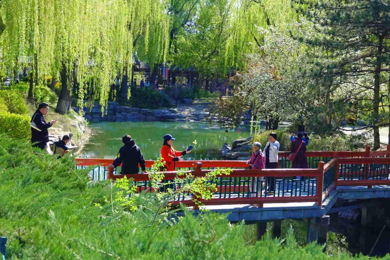 现在的气候是不冷不热，非常适宜户外活动，所以这一段时间逛公园成为了我锻炼的主要方