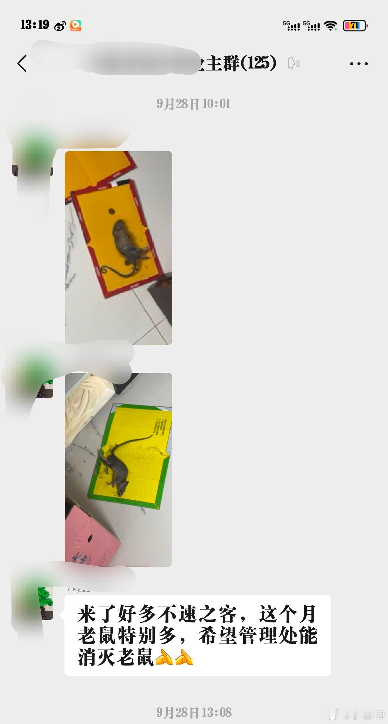 俄罗斯鼠疫我也不知道有没有关系，反正最近我们楼业主群里面发的全都是跟老鼠相关的信