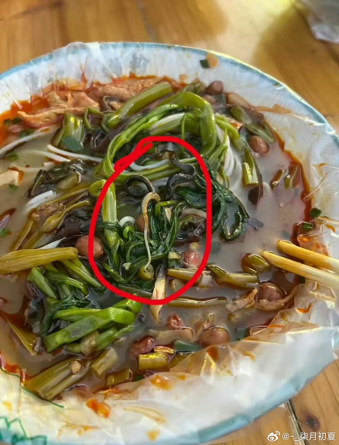 女子螺蛳粉摊吃出蛇好家伙…吃螺狮粉能吃出蛇！！！太可怕了！ 