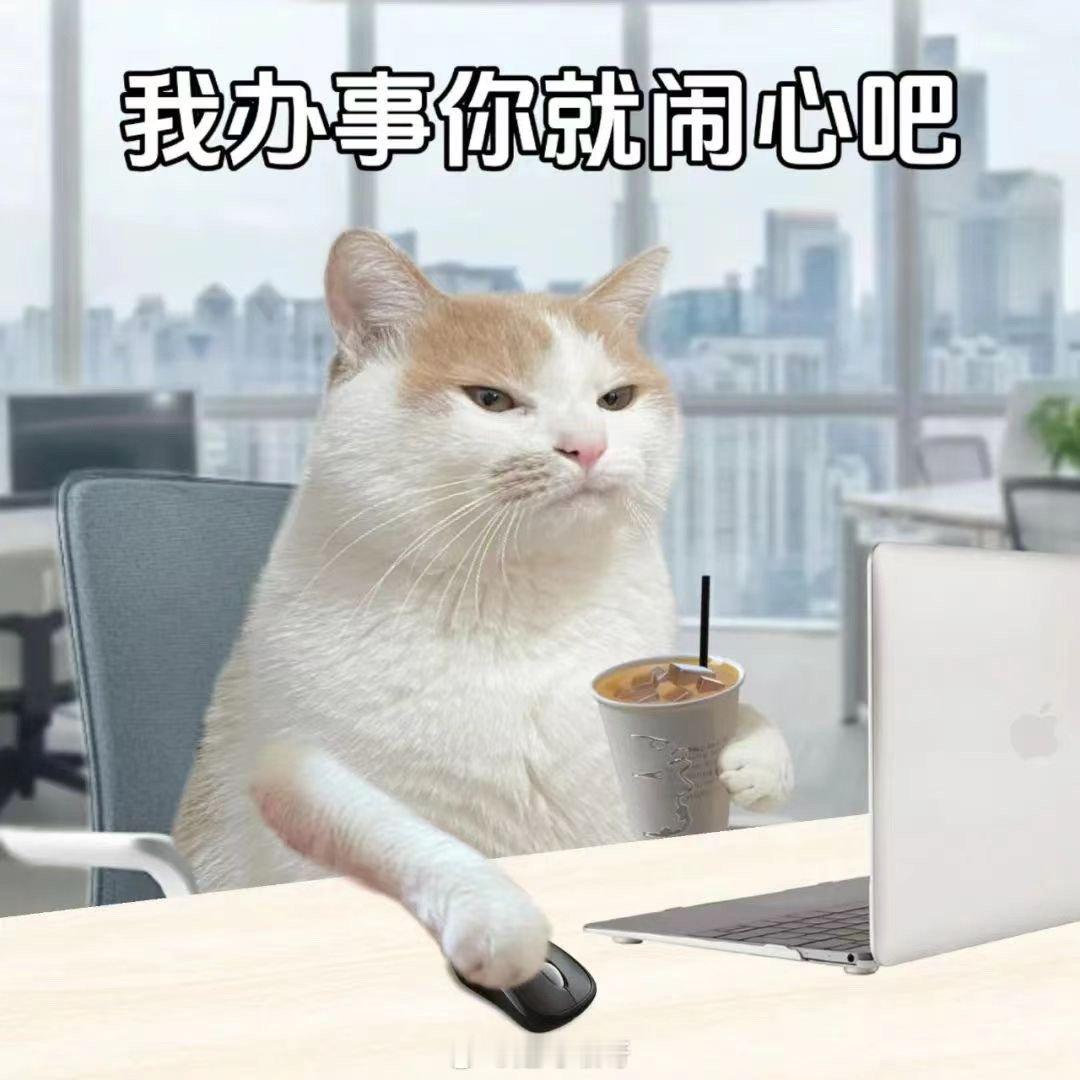 猫猫整顿职场系列 ​​​