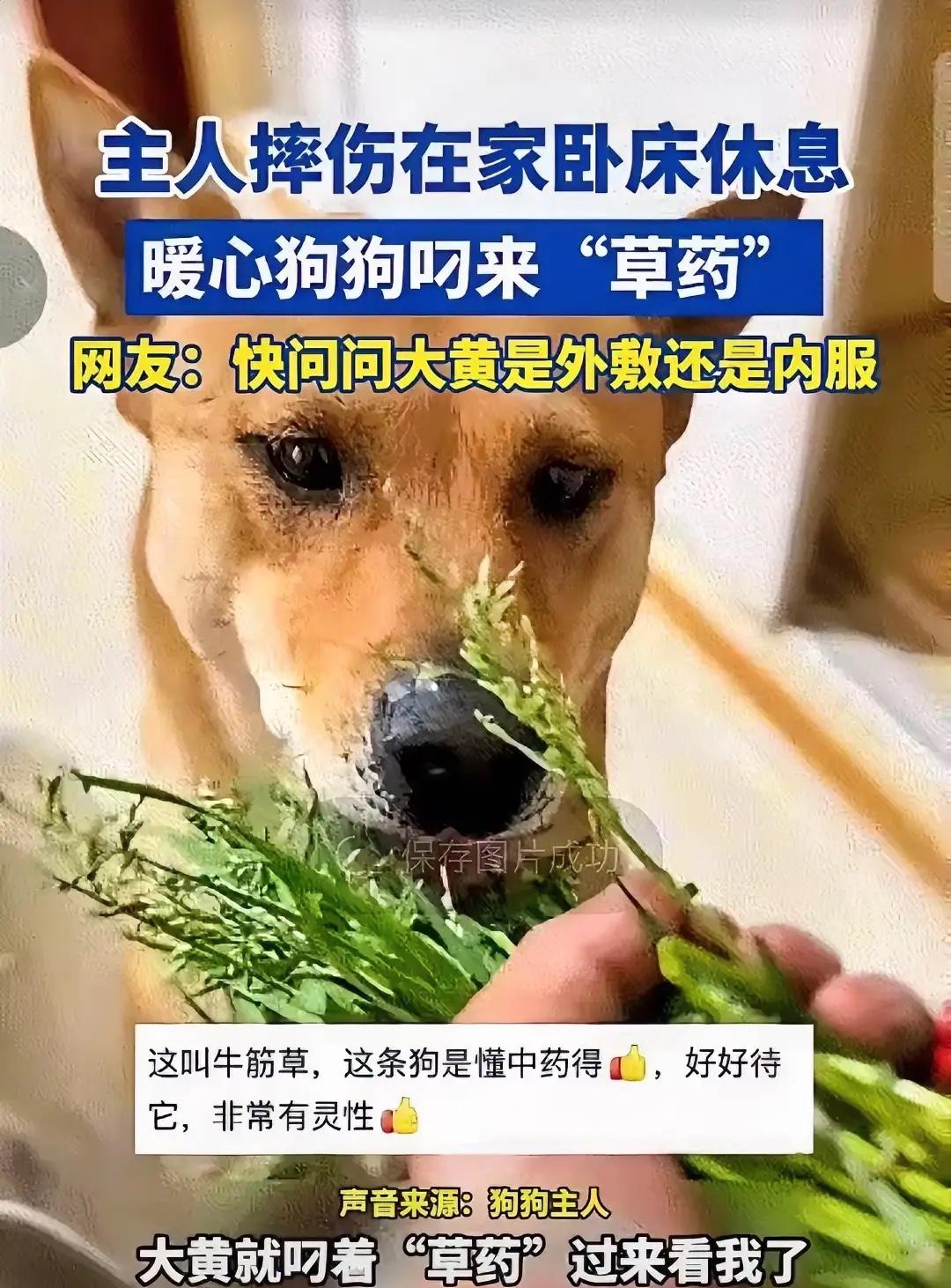 彻底解释不清了！浙江丽水一名52岁大叔上山修果树摔断了腿，困在山里动弹不得。他养