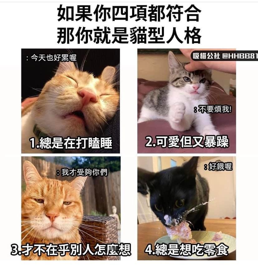 [喵喵] ​​​