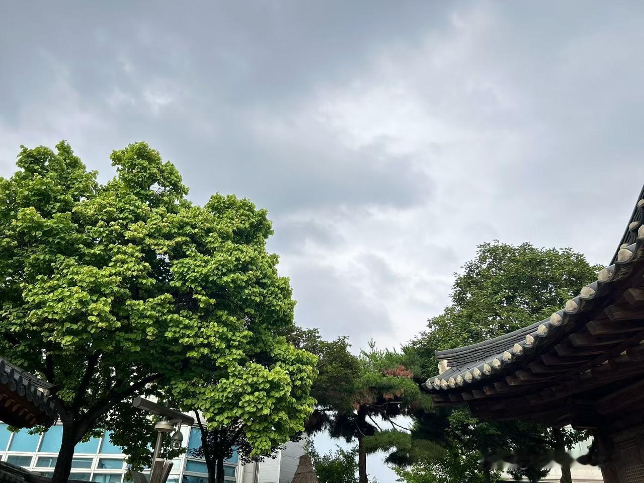 ❤️我满怀希望，笃定前行。我相信信念的力量，能冲破所有迷茫，驱散一切焦虑。

我