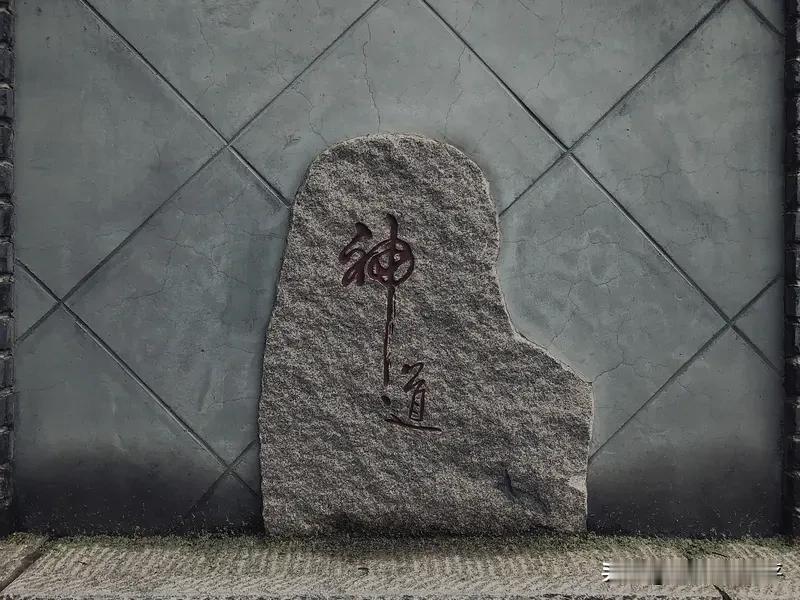 你只要敢把你的注意力一直安住在悟道，真我，自由，热爱，使命，众生上，

不再相信