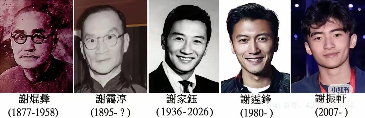 五代容貌一脉相承👍