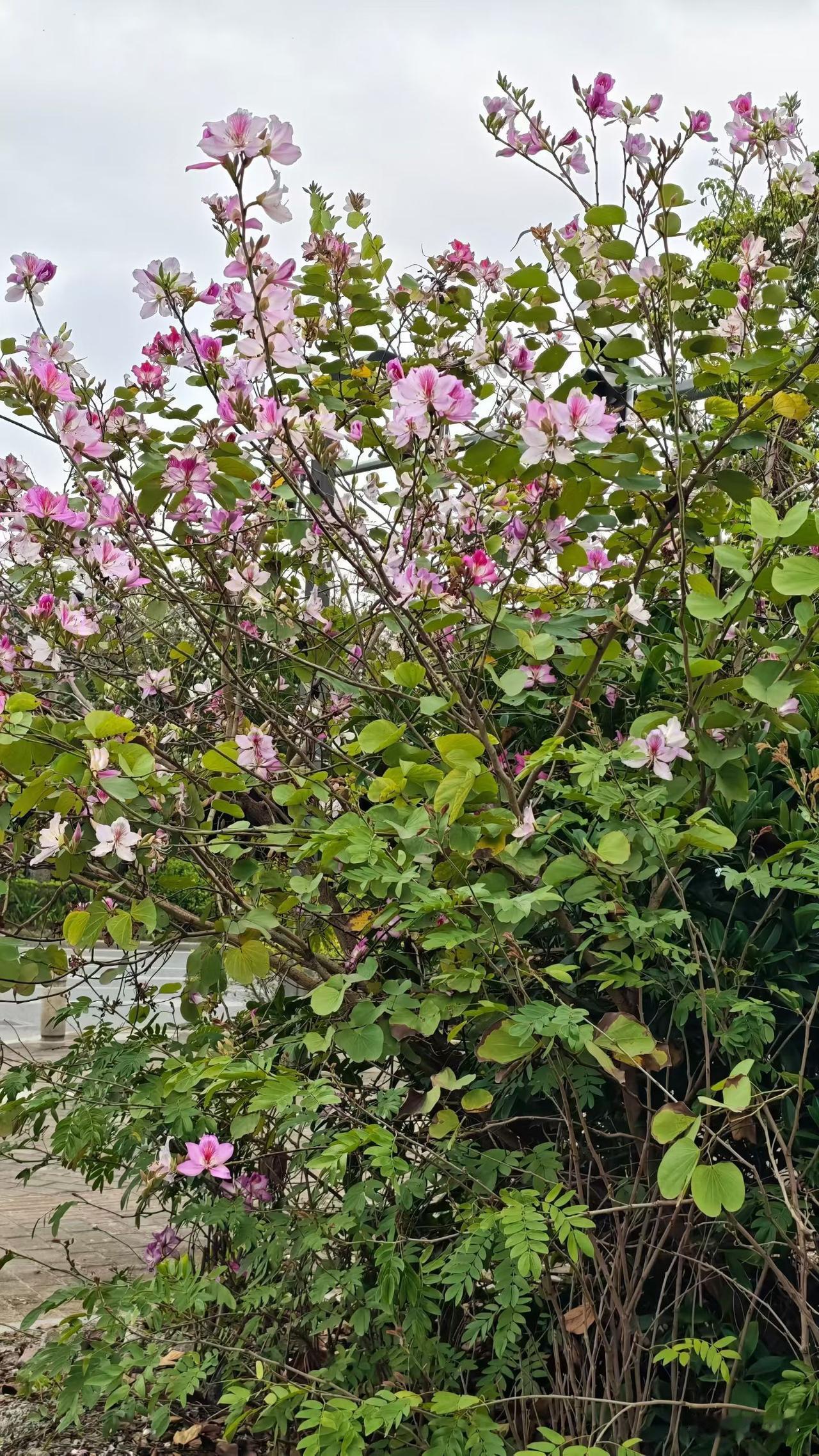 工厂最让人寒心的潜规则，多少新人被逼着离职，太现实了
 
进厂打过工的人，应该都