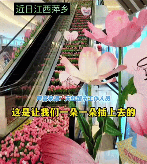 近日江西萍乡，商场万朵郁金香，几分钟被洗劫一空，超市工作人员称这些花，是一朵朵插