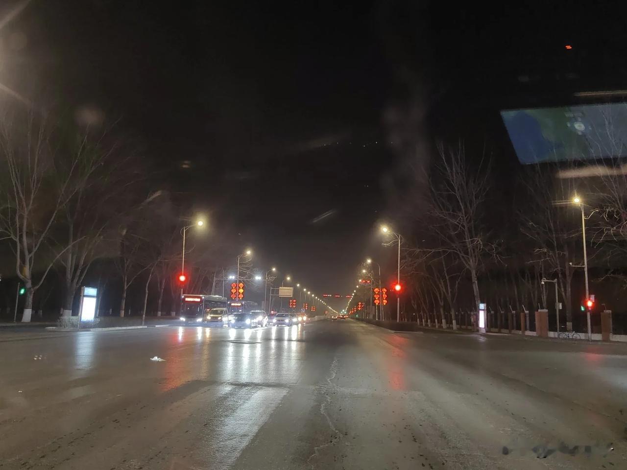 太有意思了，黄河边鸟类调查，大疆Neo玩的不亦乐乎，追随，跟随，伴随，眼见天黑亏