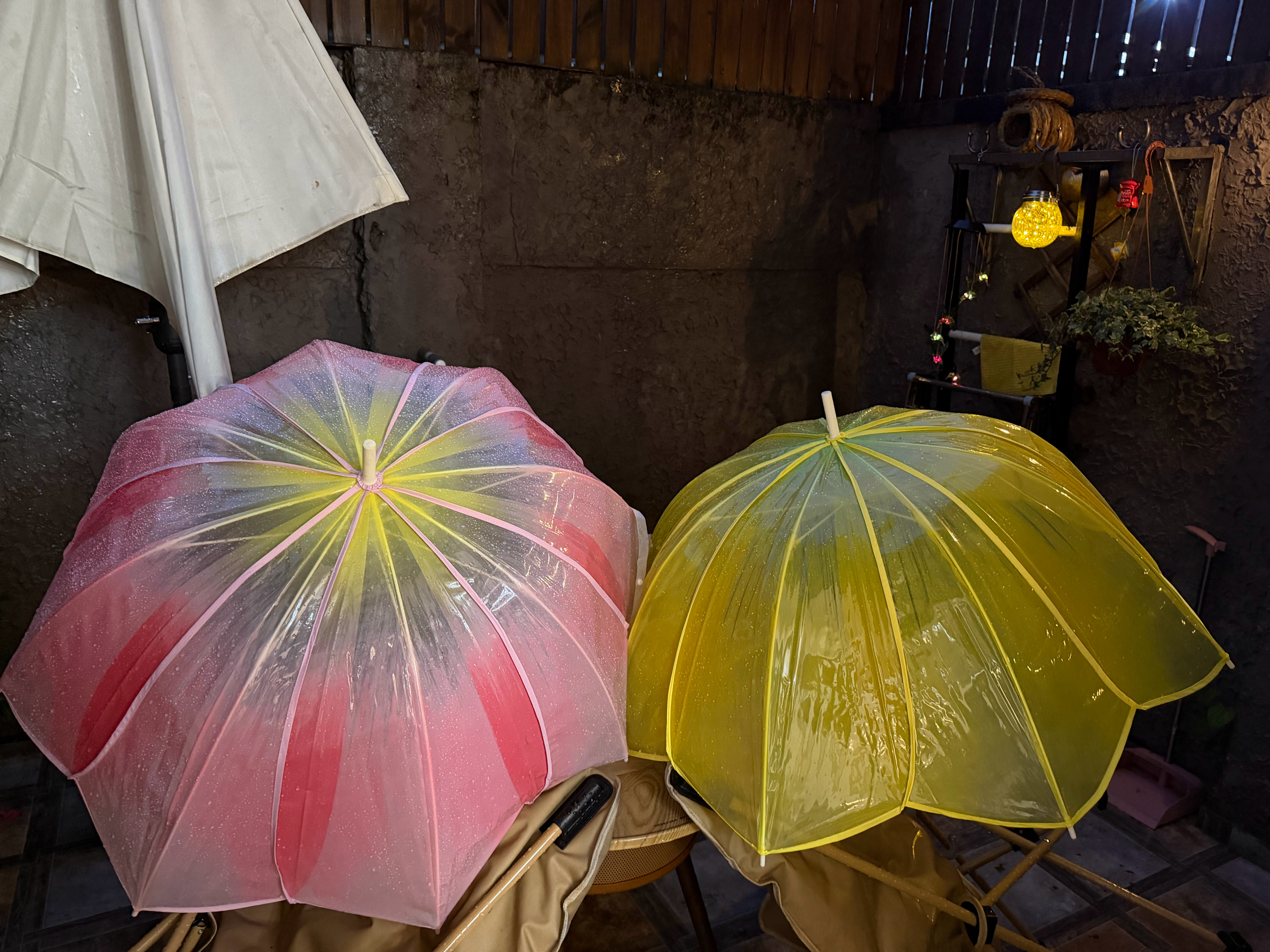 春日的雨天，要撑郁金香雨伞☔️ 