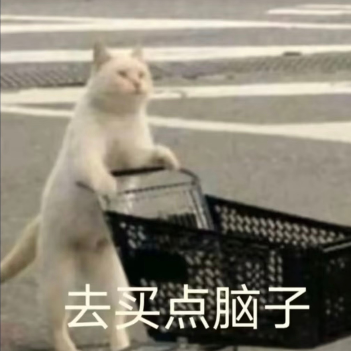 酒店249元一晚涨到1600元被吐槽机票车票酒店，哪哪都涨，感觉一年到头省的钱，
