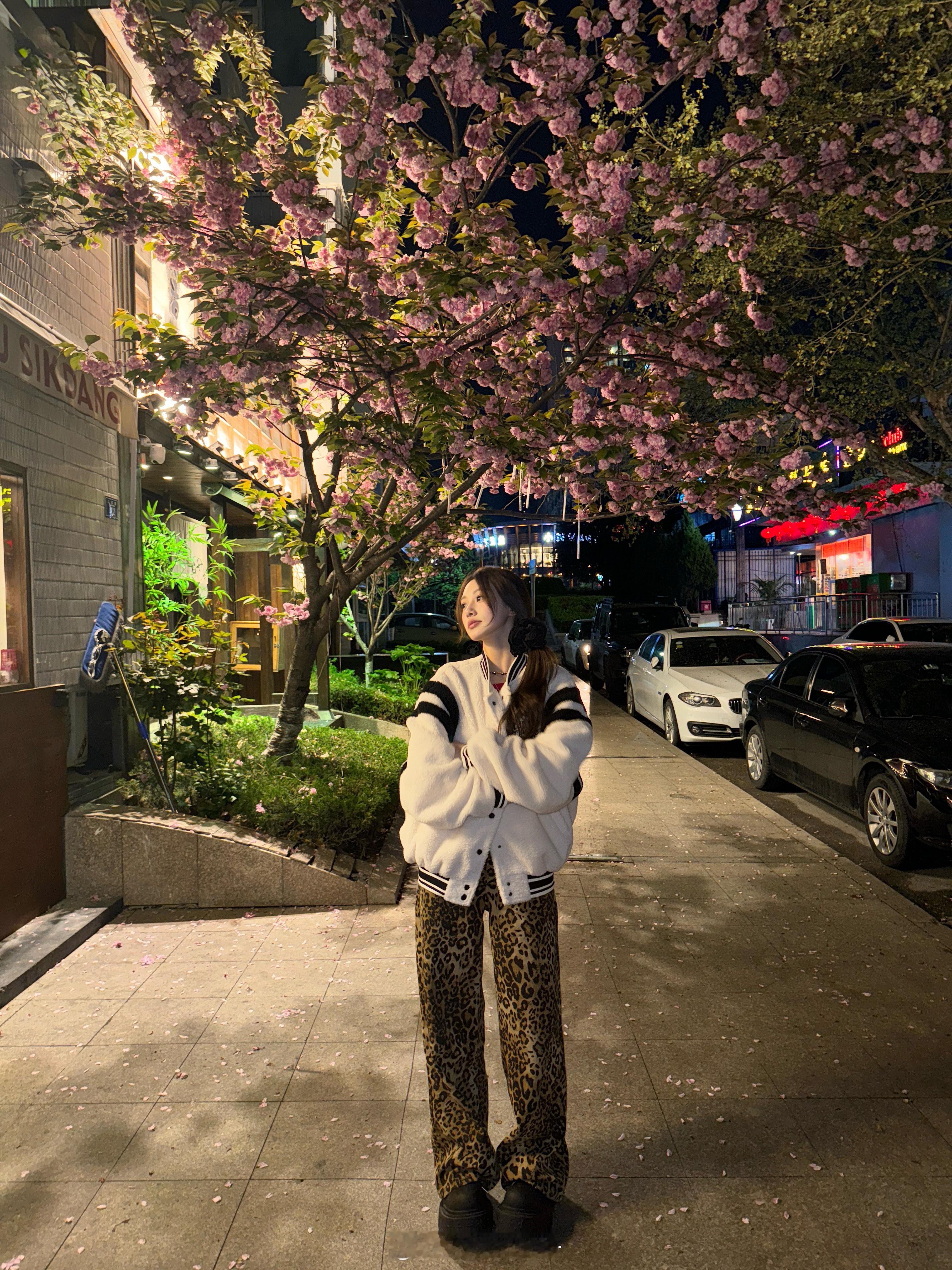 收工夜樱🌸 ​​​