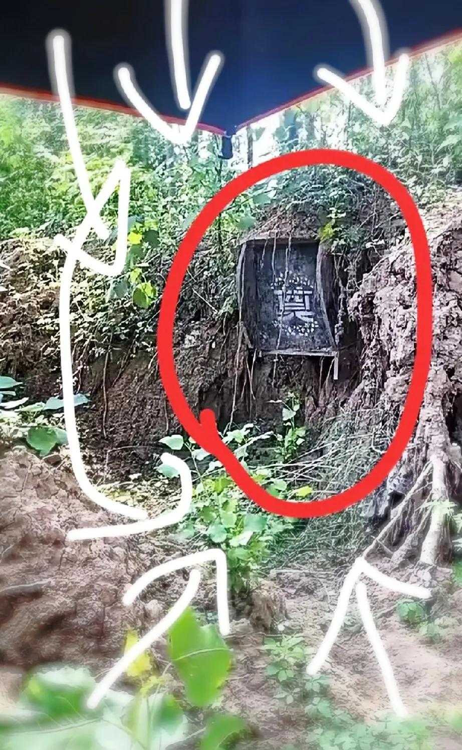 这个时候是不是第一应该先磕一个？还是扭头就跑？