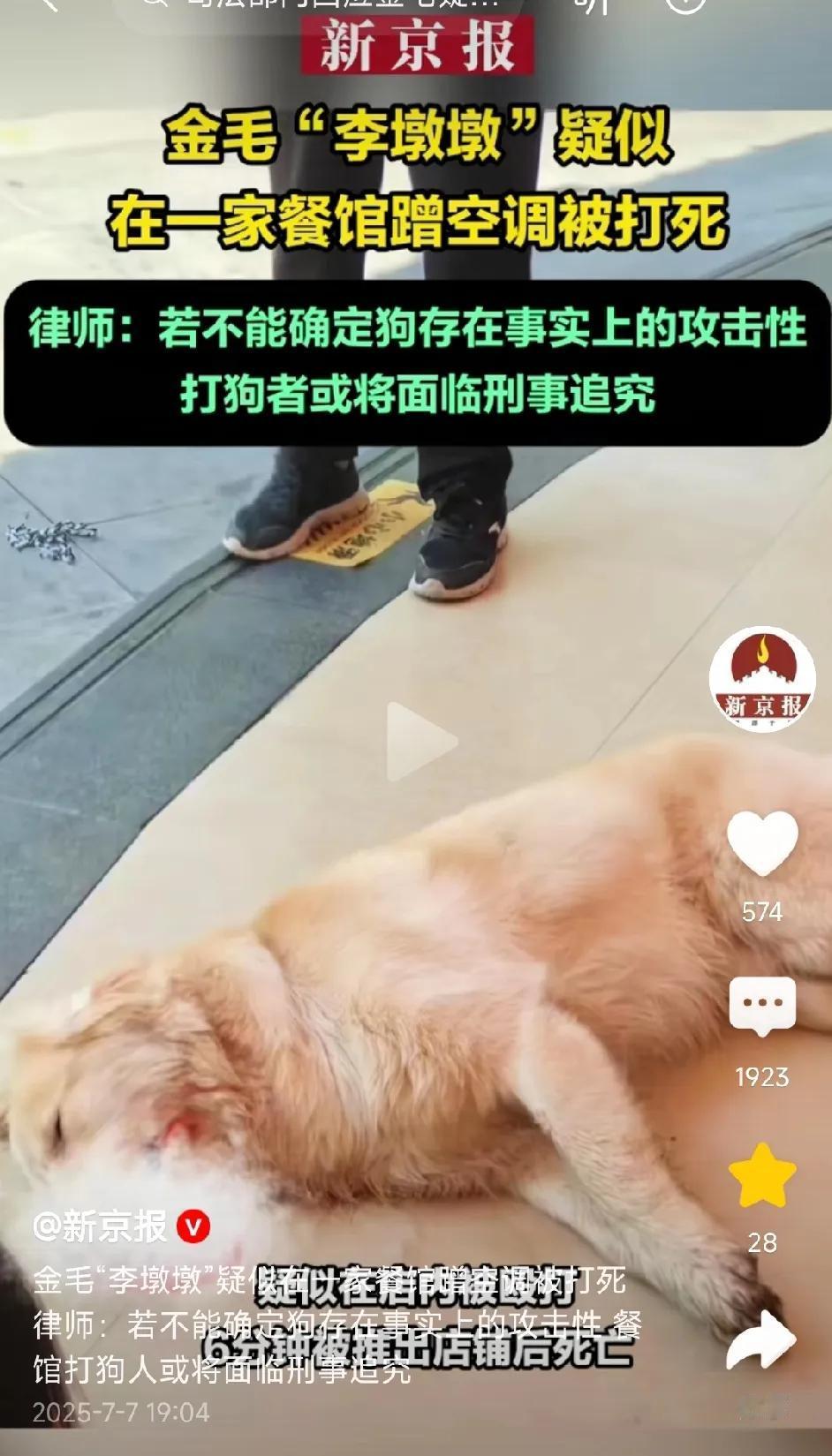 律师：若不能确定狗存在事实上的攻击性，打狗者或将面临刑事追究。

恕我直言，我是