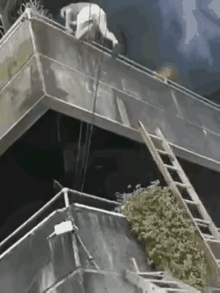 这个女子生死关头，不仅沉着冷静，臂力很好，脚也长眼，是个有福气之人。