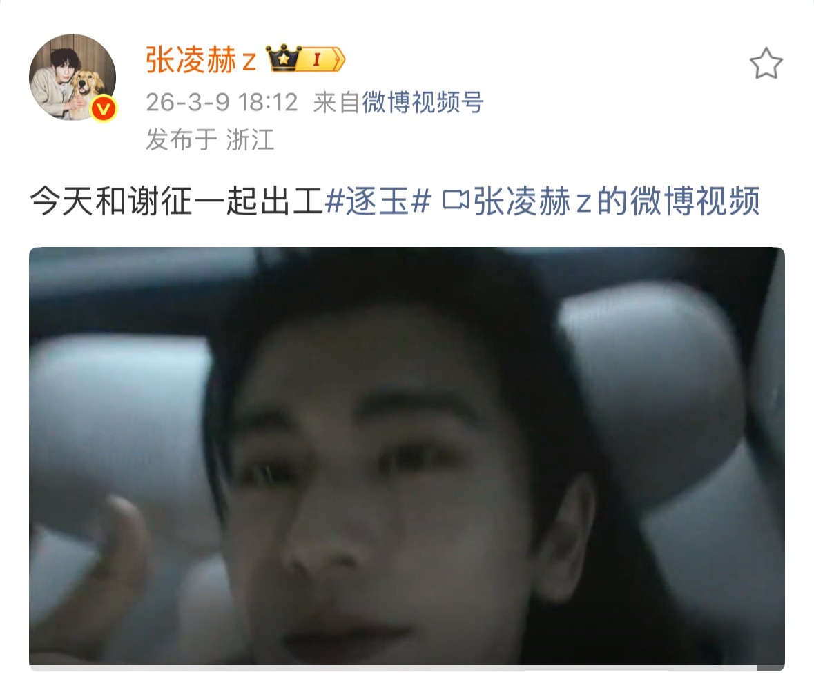 张凌赫和谢征一起出工扫墓张凌赫和谢征出工vlog 今天和谢征一起出工 