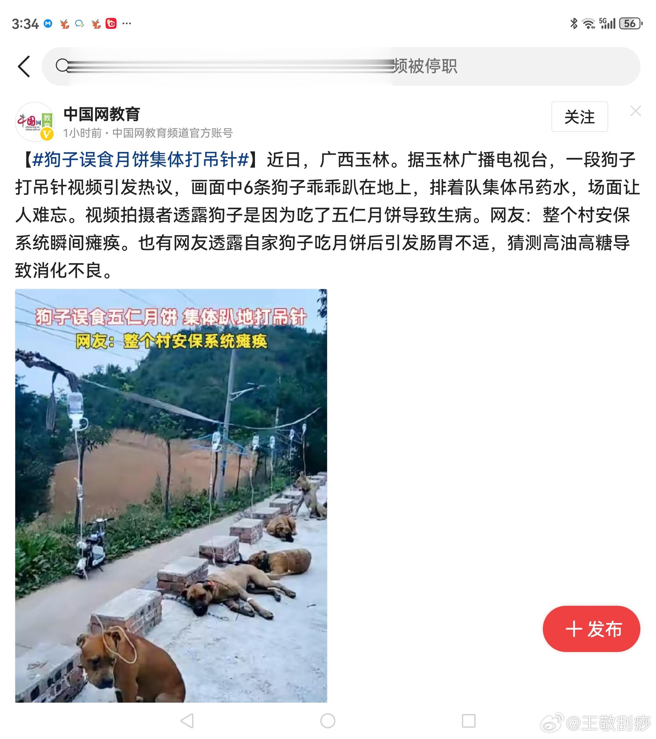 真的假的呀？ ​​​