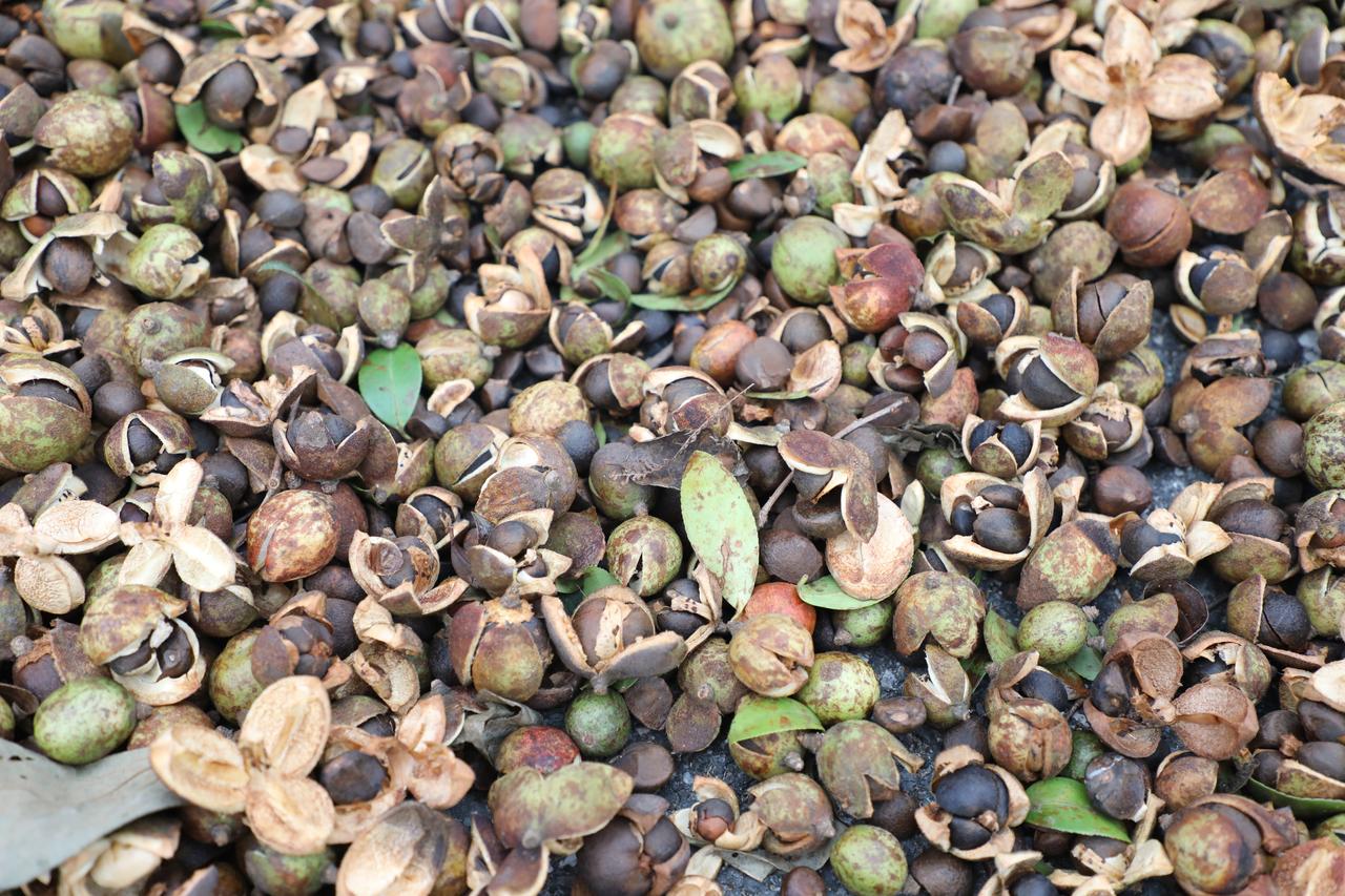 现在还有年轻人认识这是啥吗？
估计很多年轻人不知道是什么。
今日看到一地的这玩意