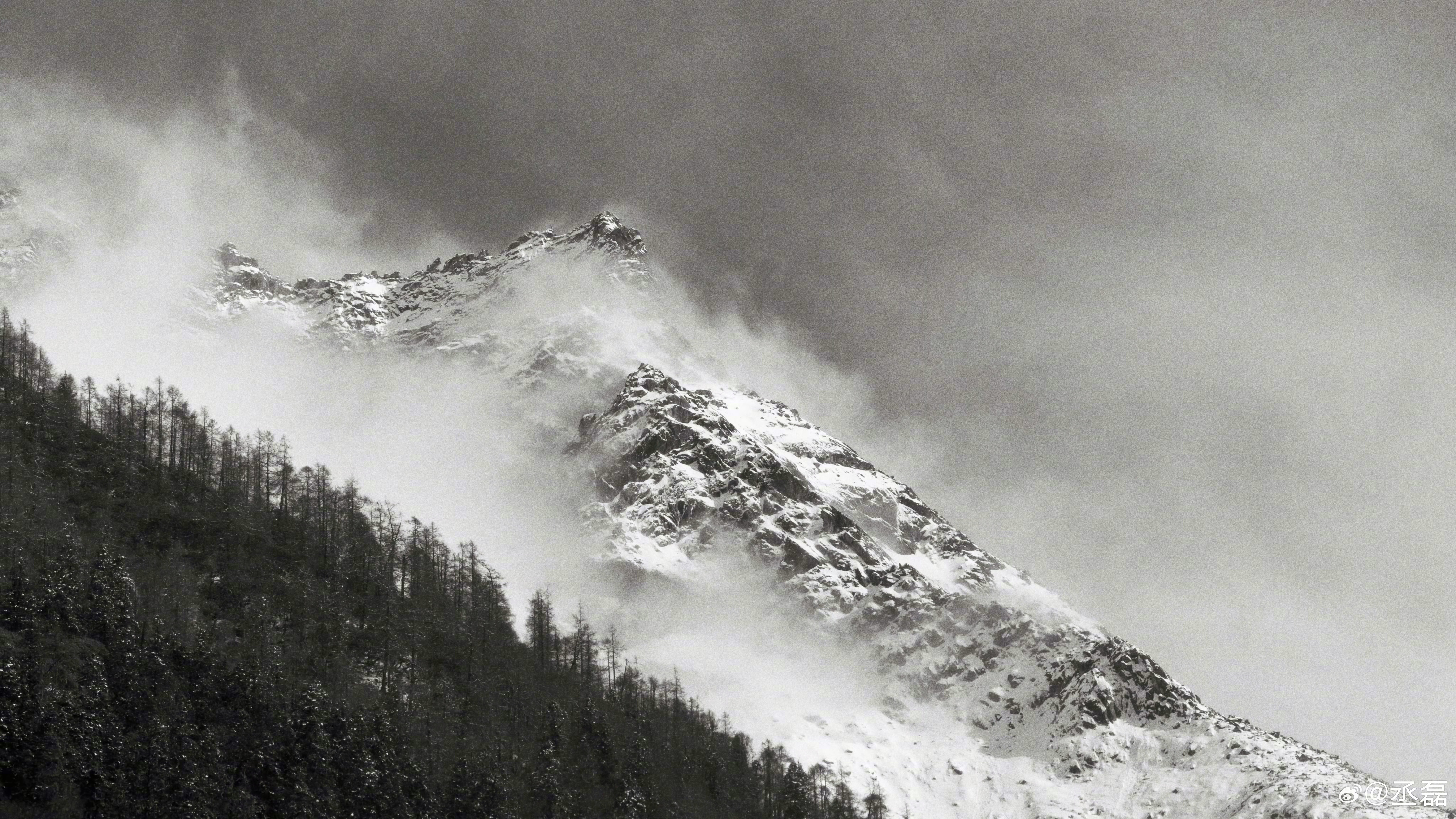 丞磊杀青后的丞磊戏外也是一枚懂拍摄，懂意境的摄影实力派呢。从下而上的角度拍摄，果