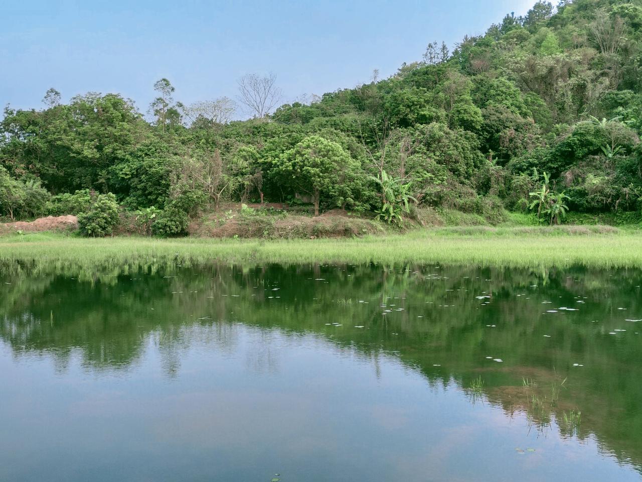 这山塘又称莲藕塘，水质清澈，水天一色，不知道有没有养鱼呢？