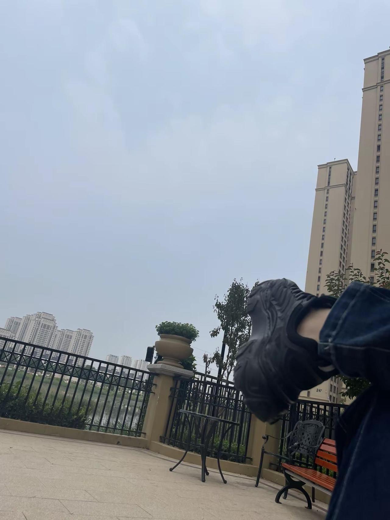 湖边的鸟儿。湖边的鸟儿安静的栖息地