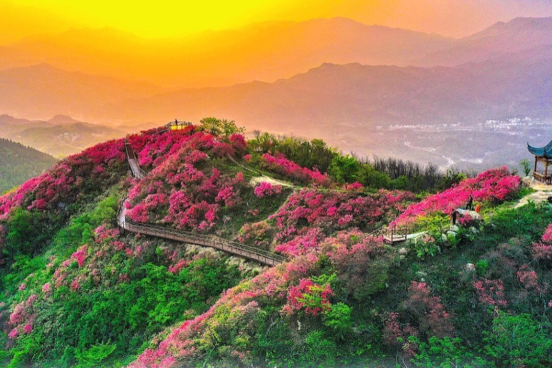 🚗退休老友春日行，我们这群老伙计又出发了！这次直奔安徽金寨，住进天堂寨景区门口