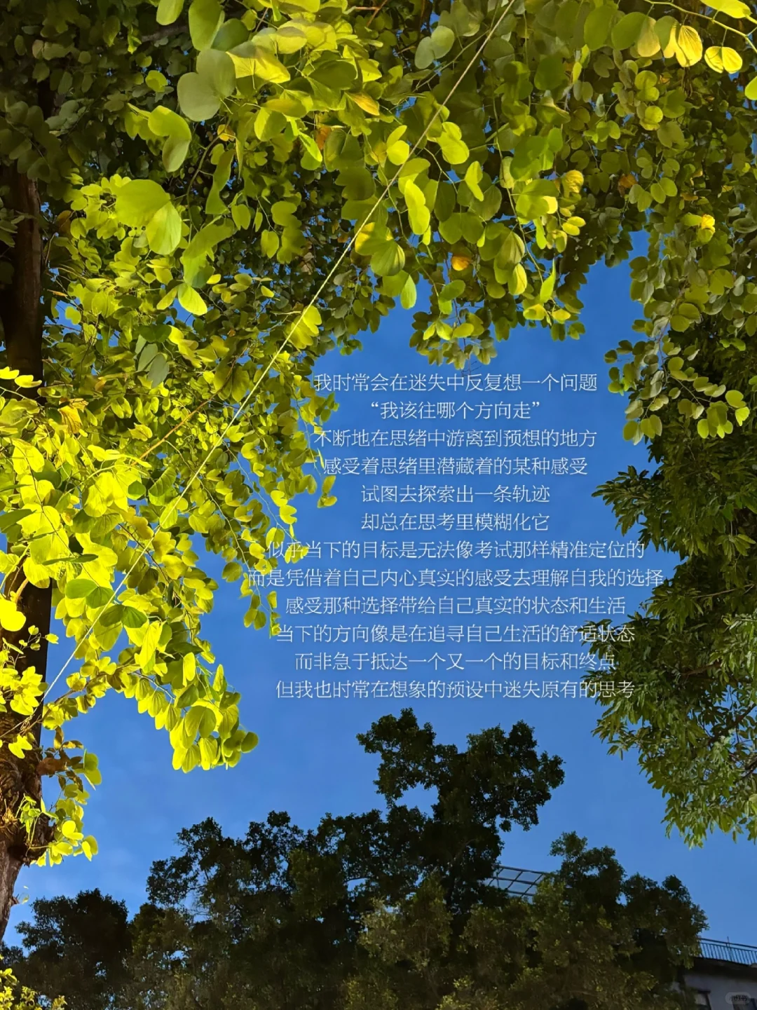 往哪走，往前走，走向更舒适的地方。