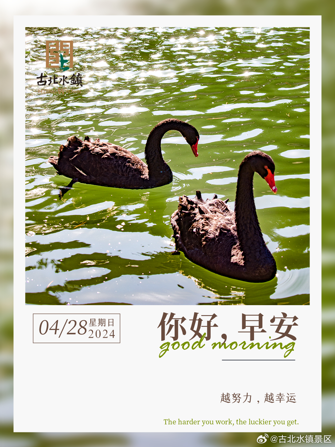 越努力，越幸运。早安，宝子们~#古北水镇邀您赏音舞诗画江山竞秀# #古北水镇江山