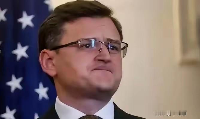 500000的教训！老实了！乌克兰终于有人敢说实话了！直言称：冲突过后，乌克兰可