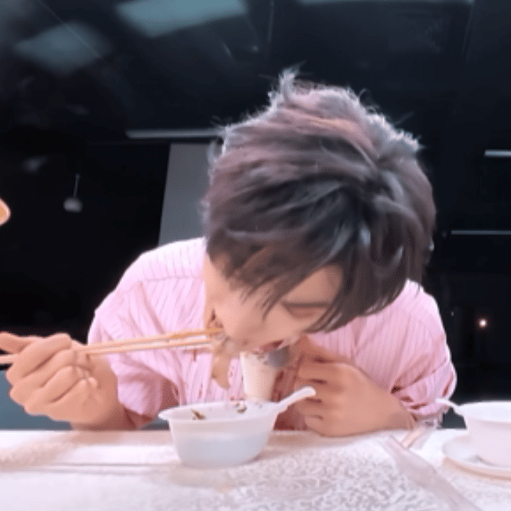 小猫自动投喂器