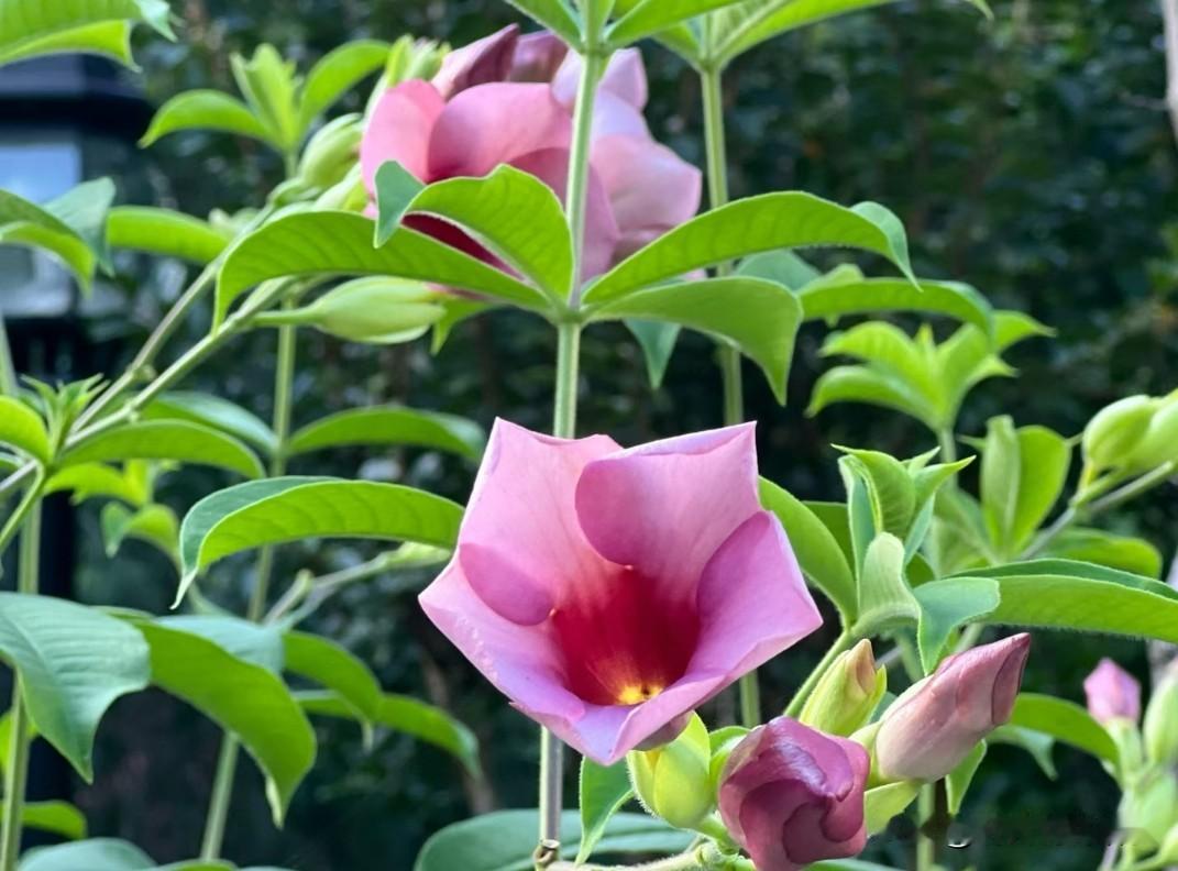 ❤️“气”是一个人的气息，是情绪，更是你向外界发出的信号。你带着怎样的气场，就会