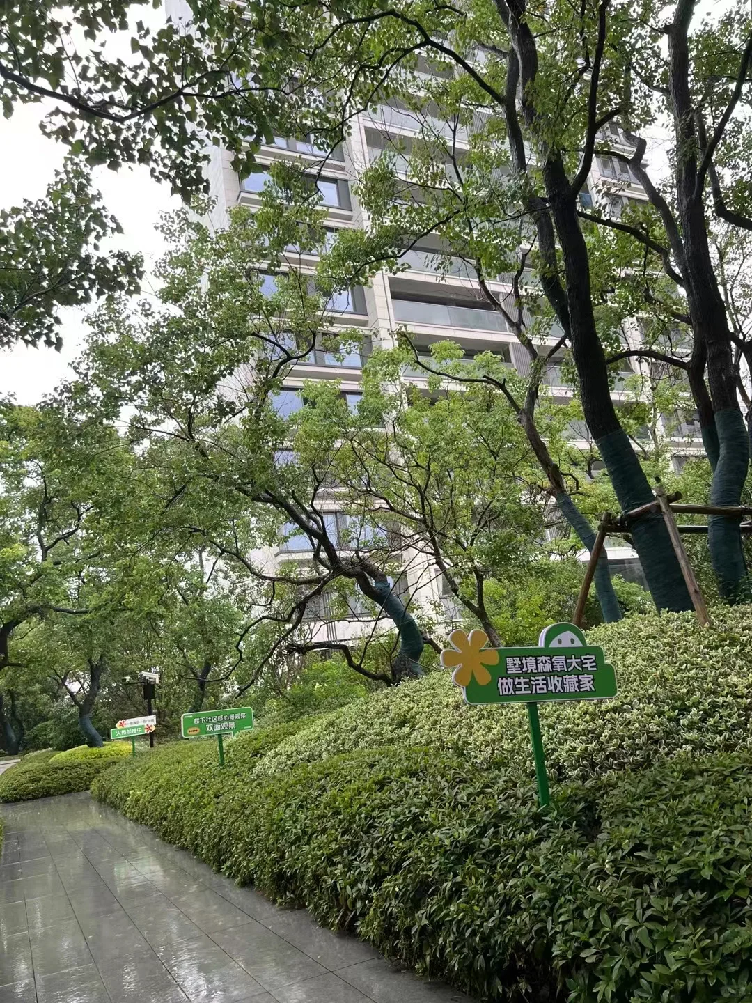 太漂亮了～锡山区这个小区绿化真的高～