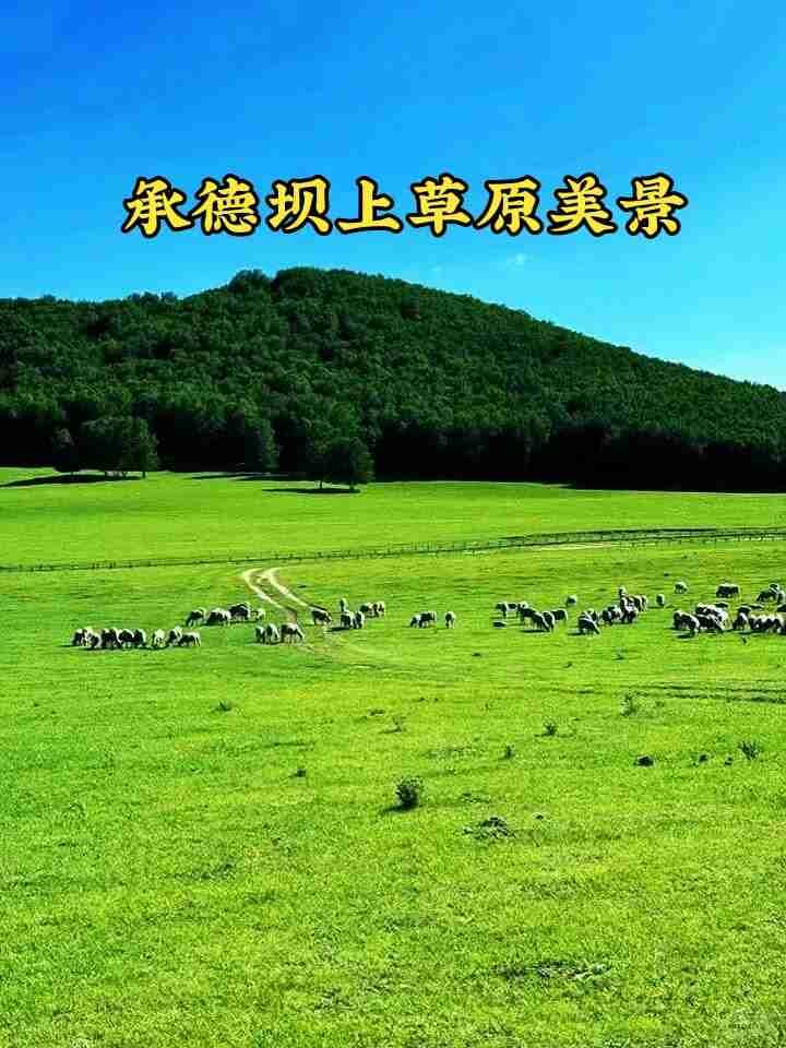 我的今日状态：😁轻松愉快
我这里的天气：☀️晴天