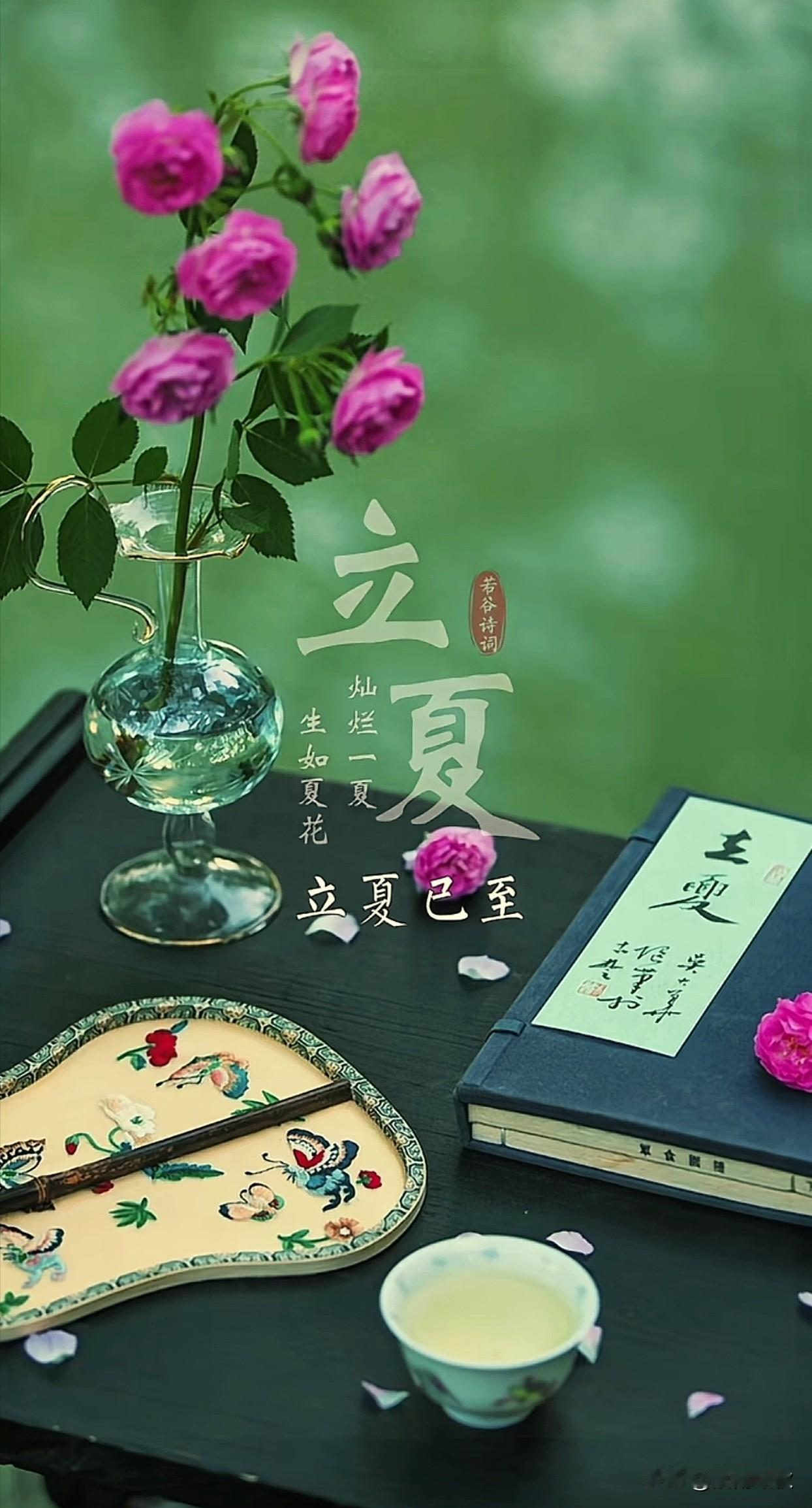 立夏已至，
这是夏季的第一个节气。
春意藏，夏初长。

春天的萌动，即将换作夏日
