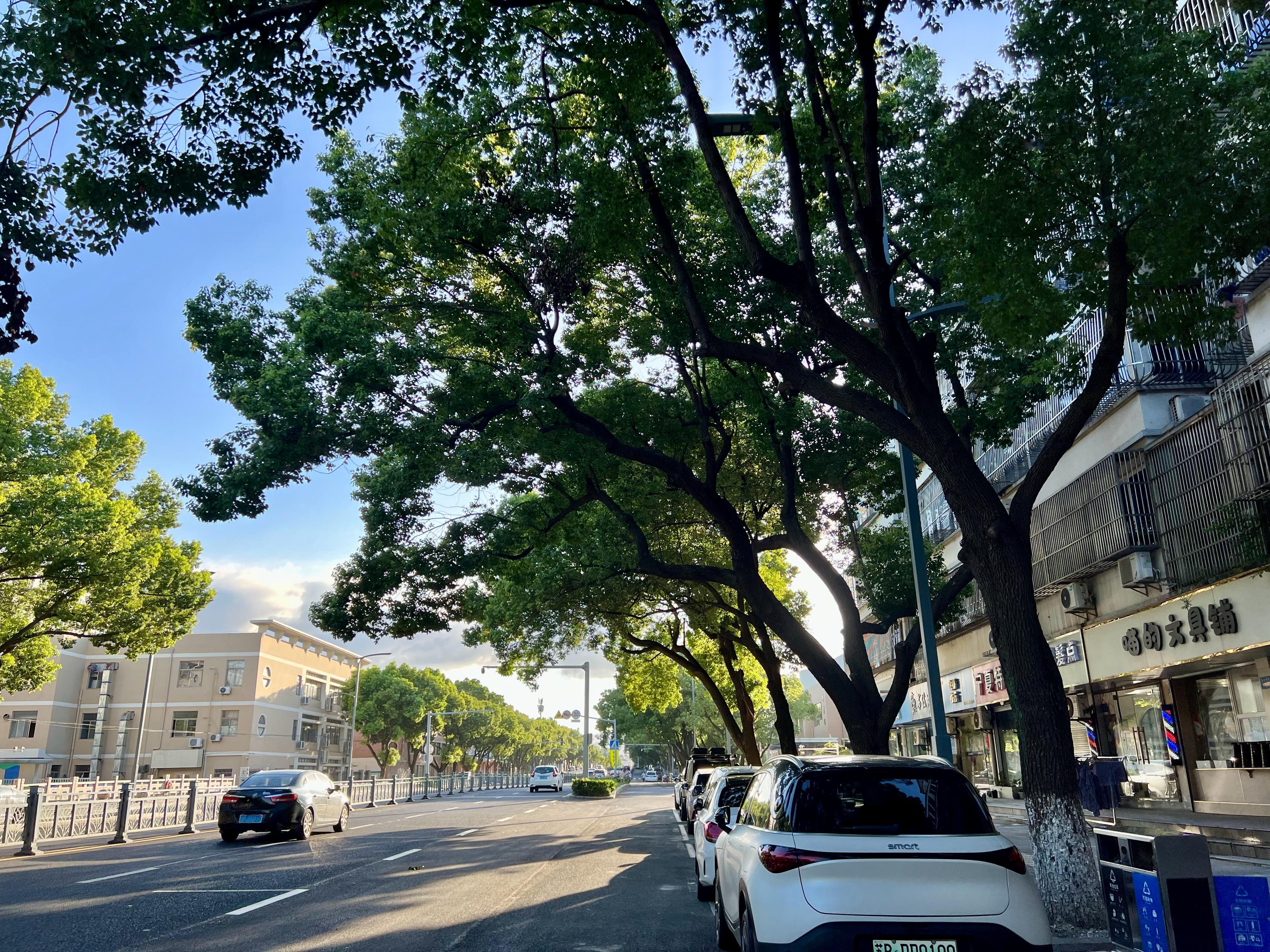 宜兴东山东路部分路段已实施拓宽改造，该道路紧邻宜兴市第二实验小学。长期以来，每到