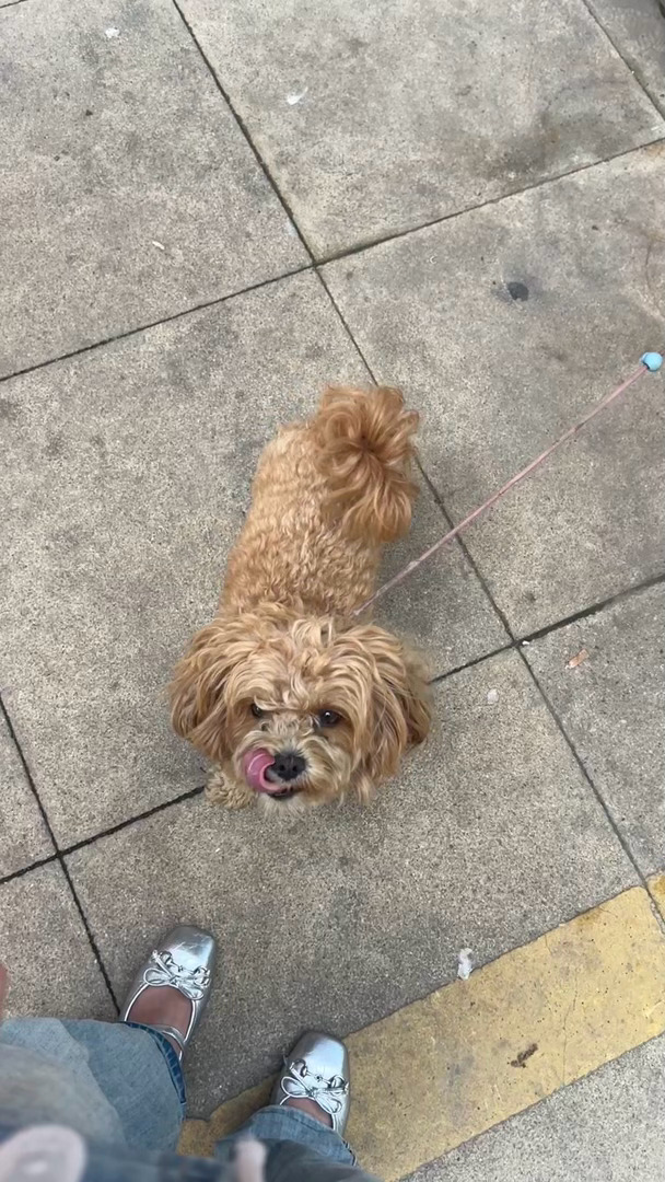 耶耶耶 ​​​