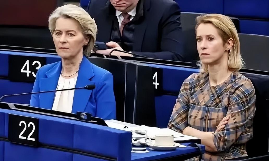 冯德莱恩指责俄罗斯禁止出口汽油！

近日，欧盟委员会主席冯德莱恩指责俄罗斯禁止出